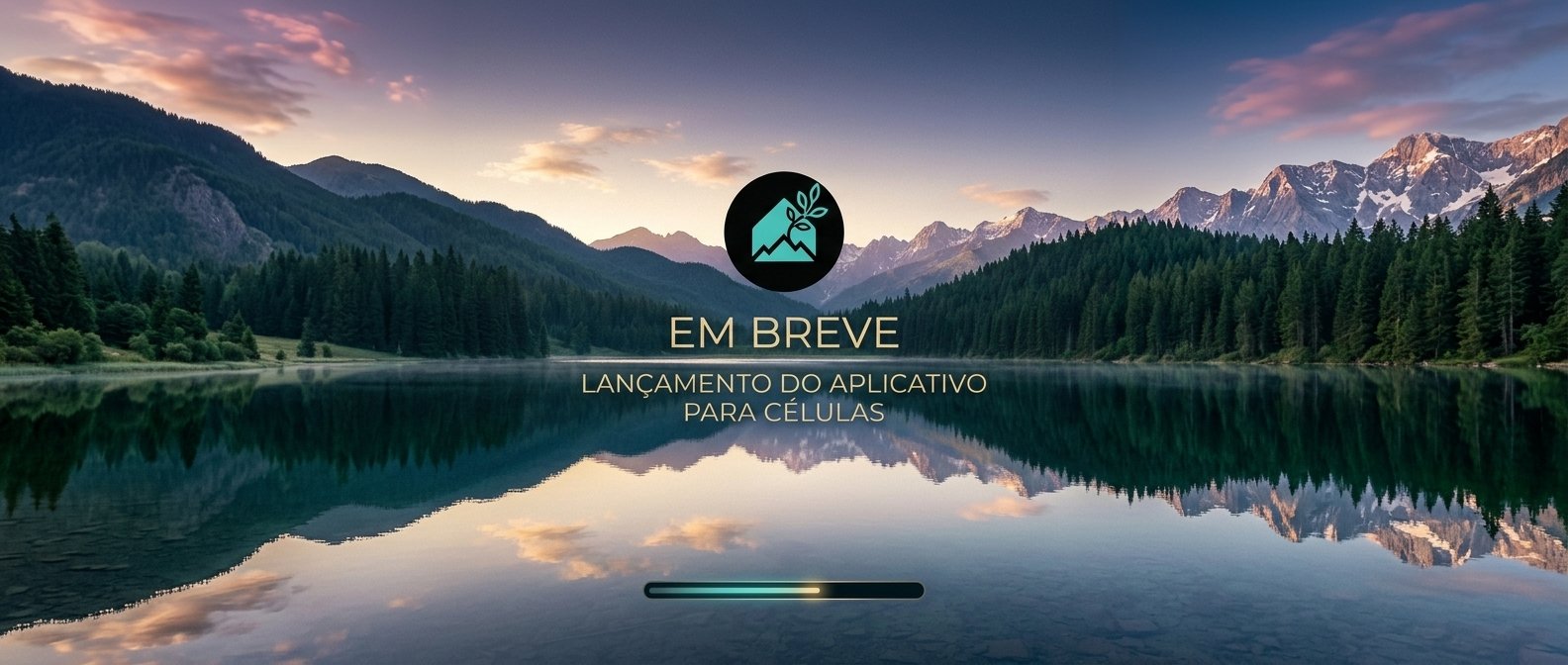 Site em Construção 1